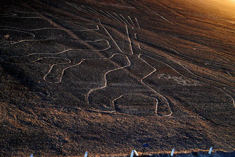 Zeichnung eines stilisierten Baums bei Nazca.