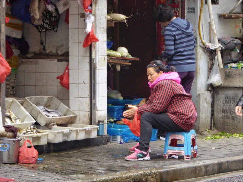 Fischverkaeuferin in der altstadt von shanghai