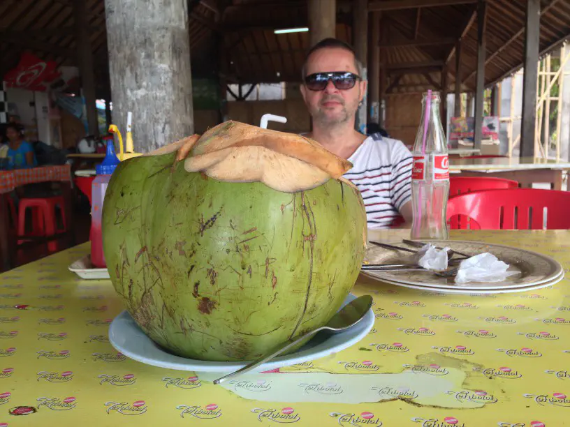 Wulf isst eine frische kokosnuss