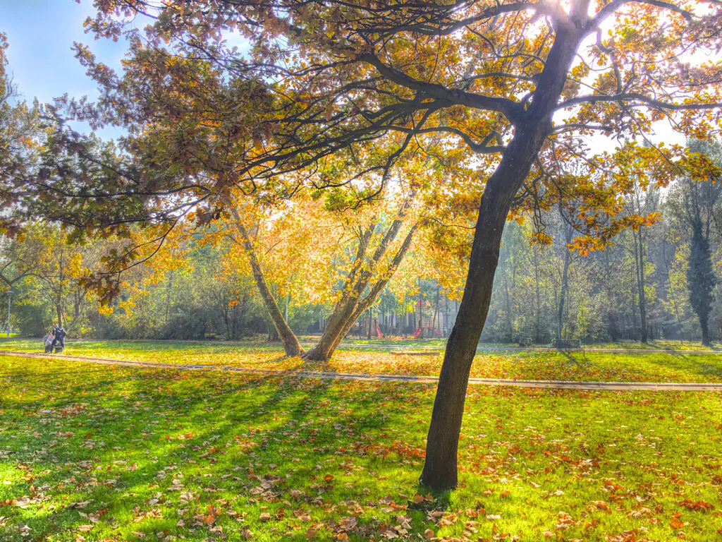 Herbst im topcider park in belgrad
